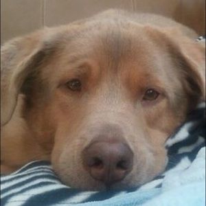 Meet your Posher, Elle